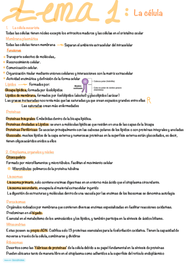 Miniatura del documento tema-1.pdf