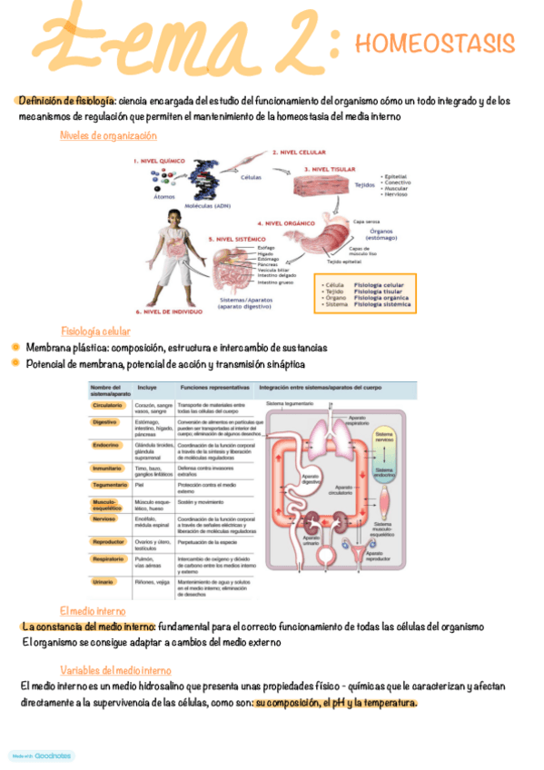 Miniatura del documento tema-2.pdf