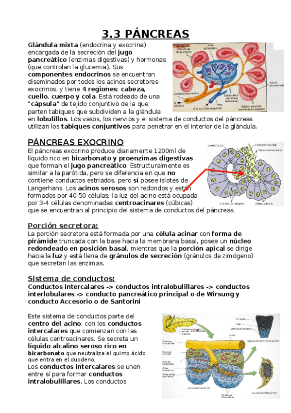 Miniatura del documento Páncreas.docx
