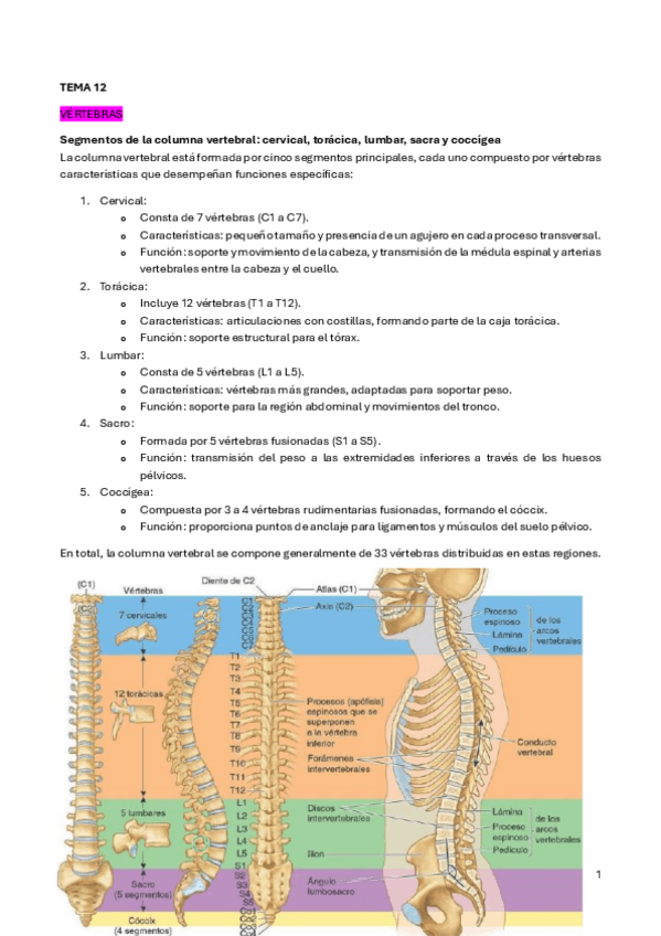 Miniatura del documento Tema-12.pdf