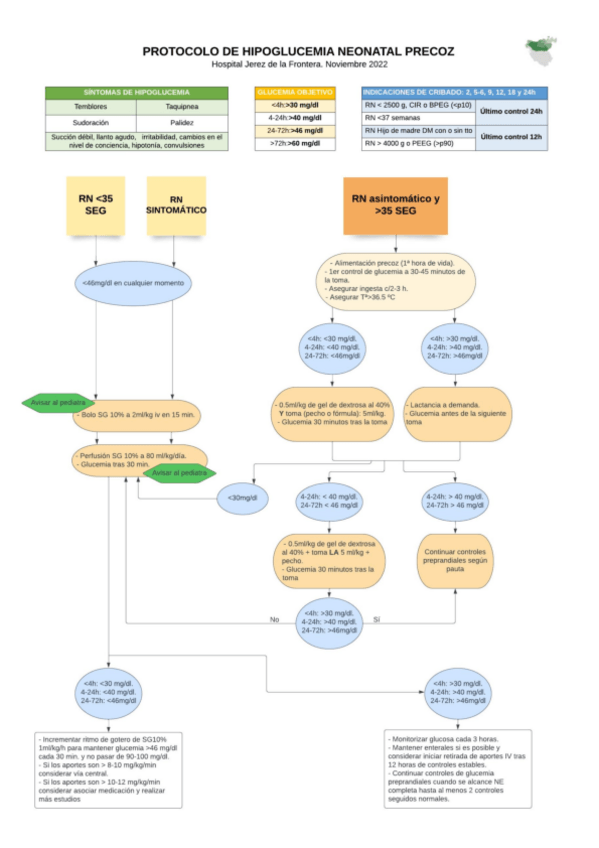 Miniatura del documento Algoritmo-protocolo-hipoglucemia-neonatal-precoz.pdf
