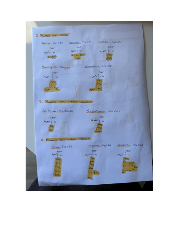 Miniatura del documento AMINOACIDOS-BIO-B.pdf