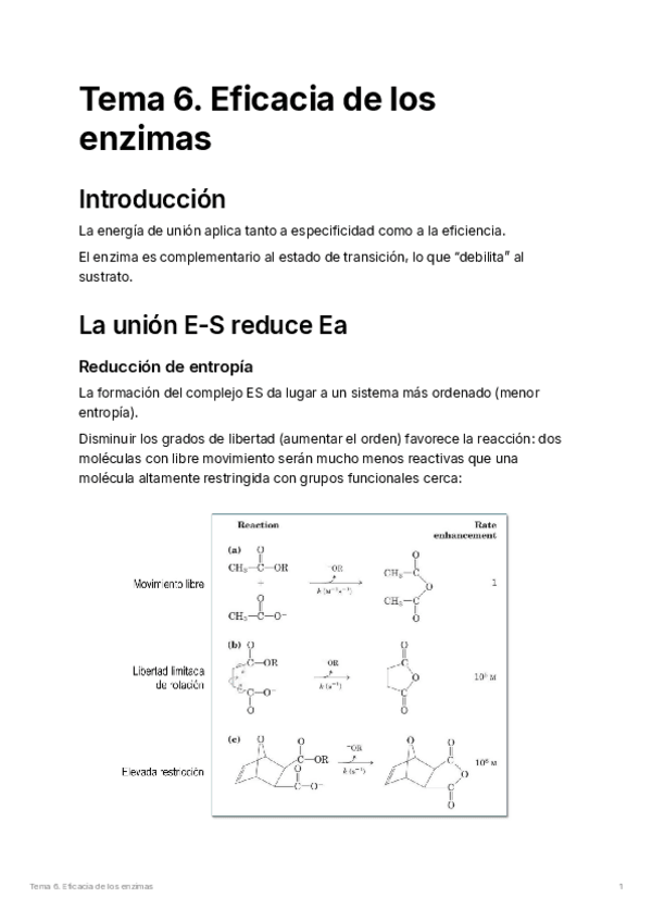 Miniatura del documento Tema-6.-Eficacia-de-los-enzimas.pdf