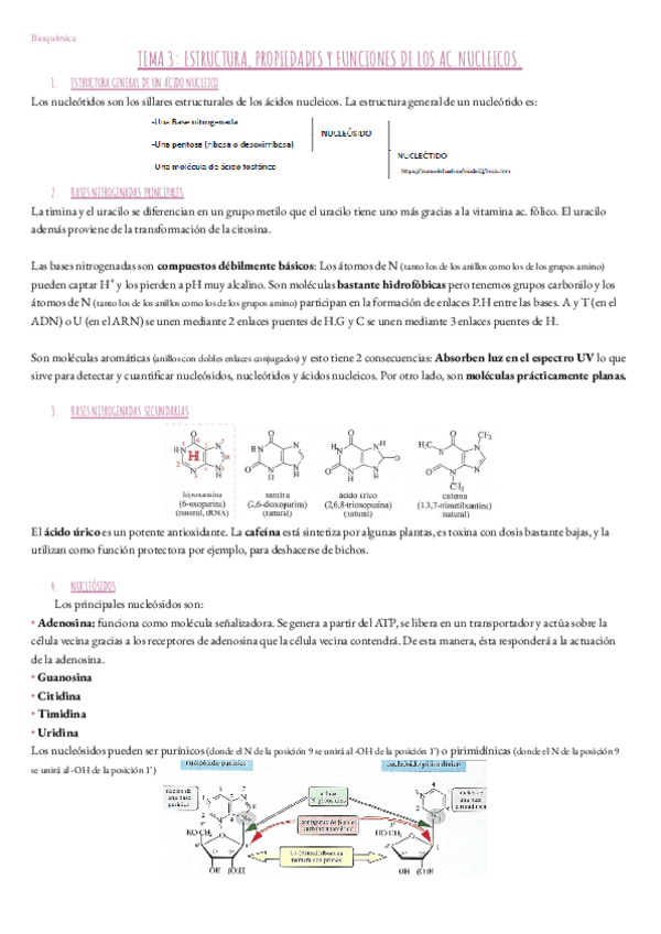 Miniatura del documento Tema-3.-Bioquimica.pdf