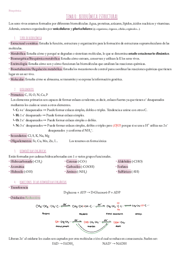 Miniatura del documento Apuntes-completos-Bioquimica.pdf
