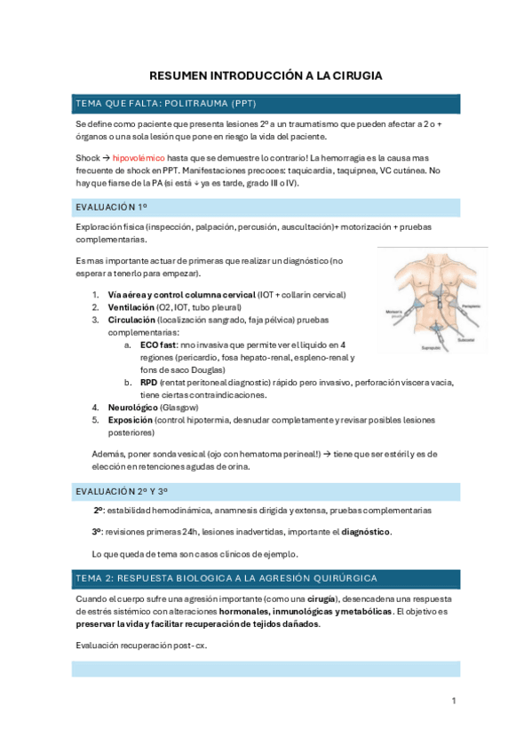 Miniatura del documento resumen-intro-ciru.pdf