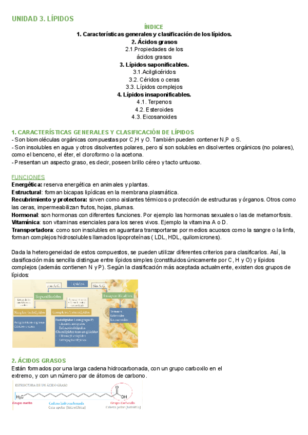 Miniatura del documento UNIDAD-3.-LIPIDOS.pdf