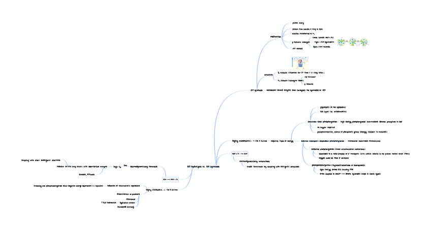 Miniatura del documento Mapa-mental-ATP-hydrolysis-vs.-ATP-synthesis.pdf