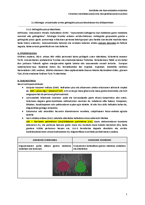 Miniatura del documento 2.1-Mintegia-erizaintzako-arreta-gehiegizko-pisuanobesitatean-eta-dislipemietan.pdf