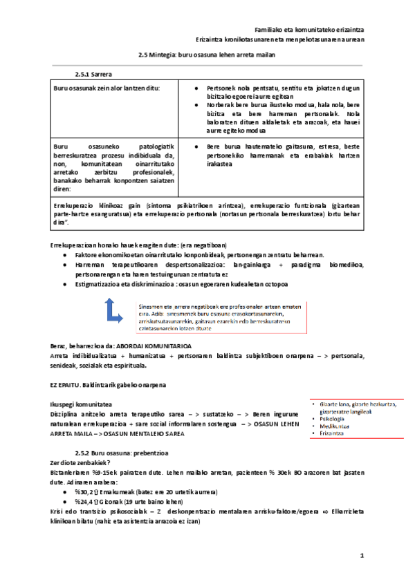 Miniatura del documento 2.5-Mintegia-buru-osasuna-lehen-arreta-mailan.pdf