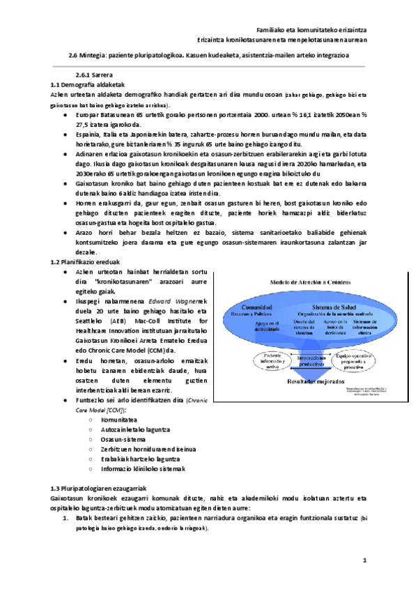 Miniatura del documento 2.6-Mintegia-paziente-pluripatologikoa.-Kasuen-kudeaketa-asistentzia-mailen-arteko-integrazioa.pdf