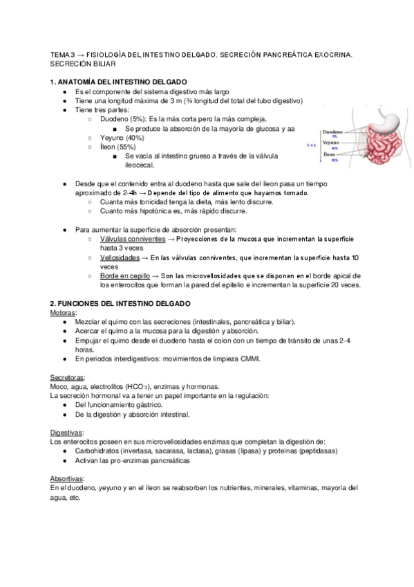 Miniatura del documento TEMA 3 → FISIOLOGÍA DEL INTESTINO DELGADO.pdf