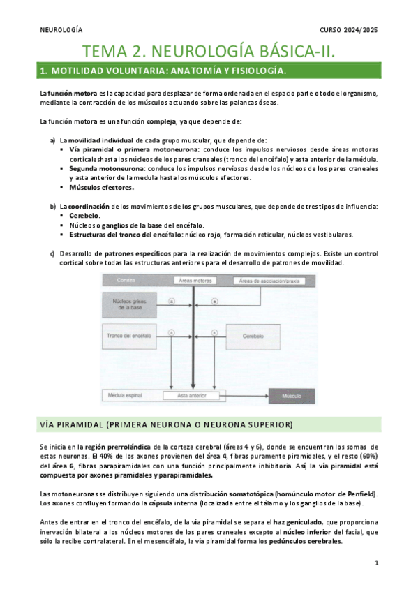 Miniatura del documento Resumen-Tema-2.-Nerologia-Basica-II.pdf