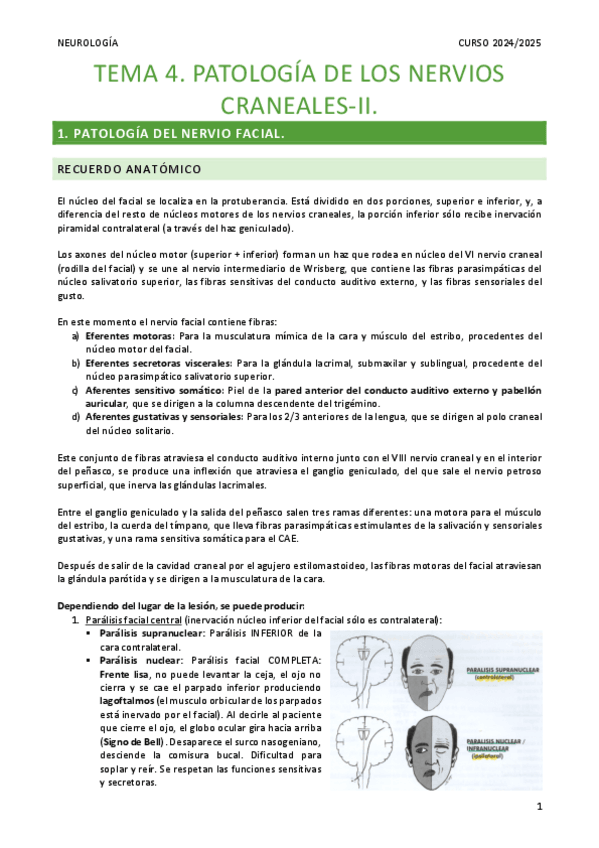 Miniatura del documento Resumen-Tema-4.-Patologia-de-los-nervios-craneales-II.pdf
