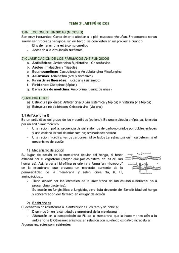 Miniatura del documento TEMA-31.-Antifungicos.pdf
