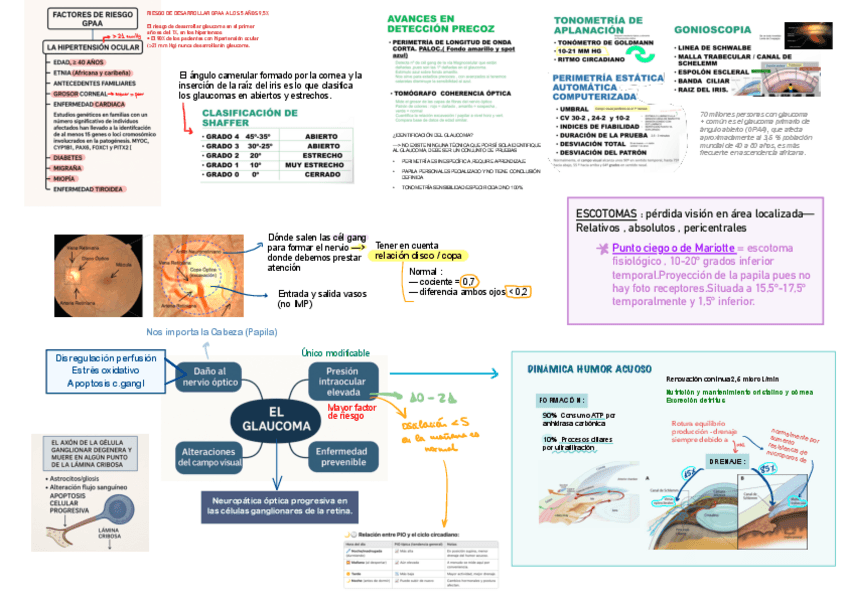 Miniatura del documento GLAUCOMA.pdf