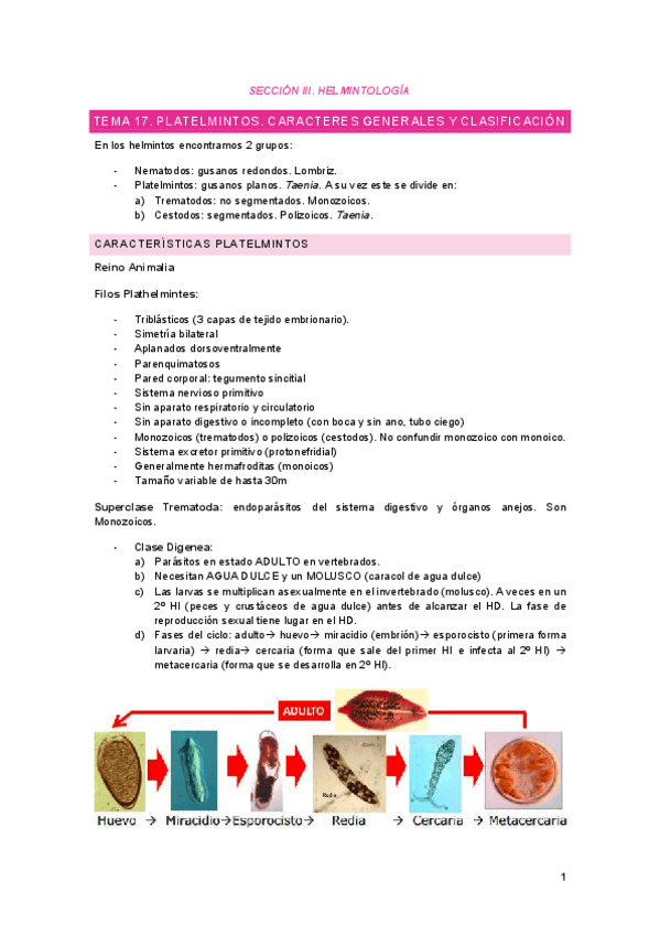 Miniatura del documento Apuntes-Parasitologia-Segundo-Parcial.-MH.pdf