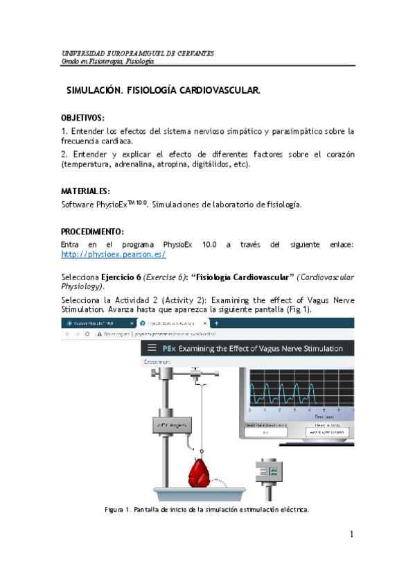 Miniatura del documento Practica-Cardiovascular.pdf