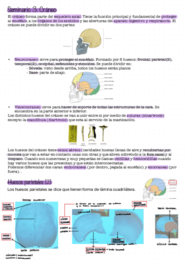 Miniatura del documento Seminario-3.pdf