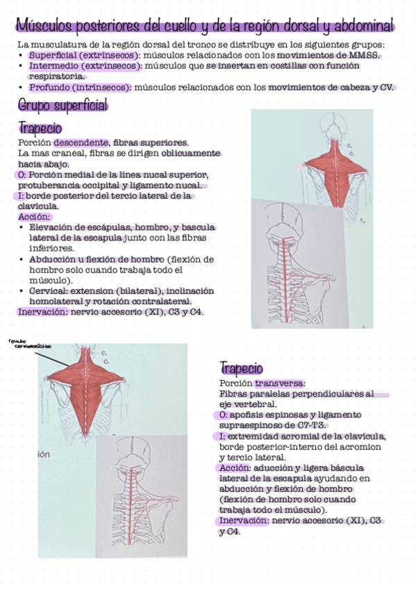 Miniatura del documento Seminario-7.pdf
