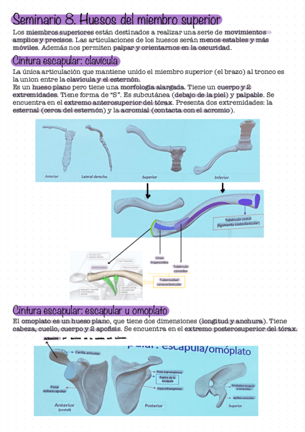 Miniatura del documento Seminario-8.pdf