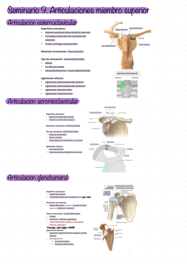 Miniatura del documento Seminario-9.pdf