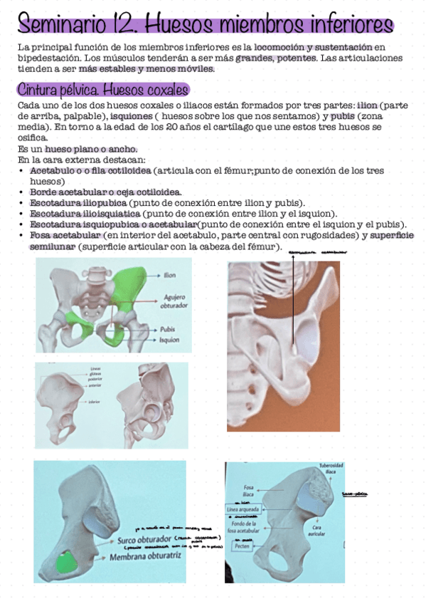 Miniatura del documento Seminario-12.pdf