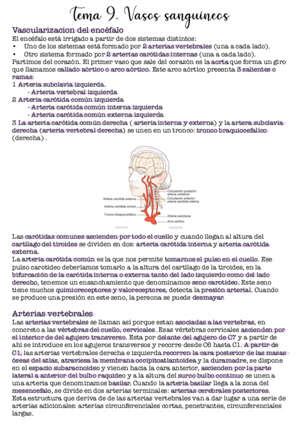 Miniatura del documento Tema-9.pdf