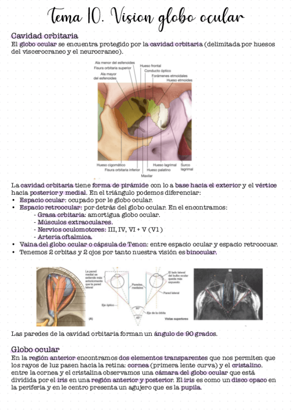 Miniatura del documento Tema-10.pdf