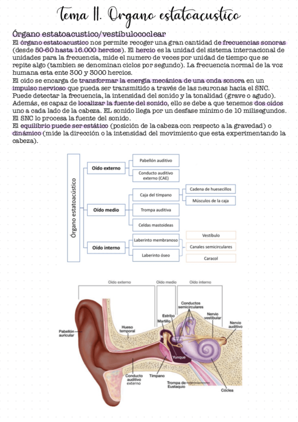 Miniatura del documento Tema-11.pdf