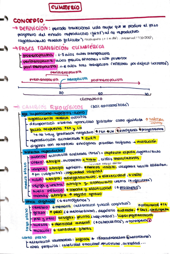 Miniatura del documento Climaterio-y-menopausia.pdf