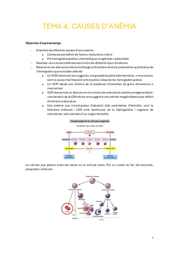 Miniatura del documento Tema-4.-Causes-danemia.pdf