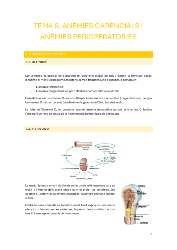 Miniatura del documento Tema-6.-Anemies-carencials-i-anemies-perioperatories.pdf