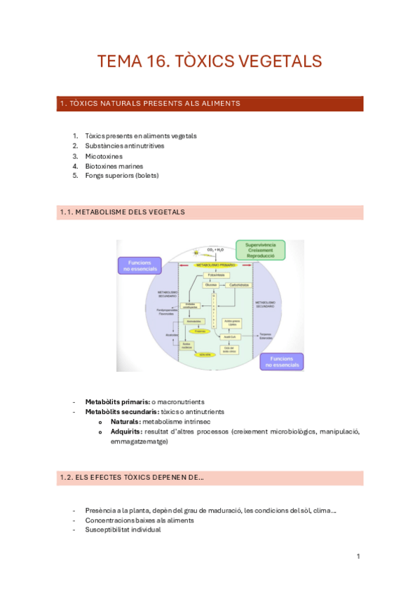 Miniatura del documento Tema-16.-Toxics-vegetals.pdf