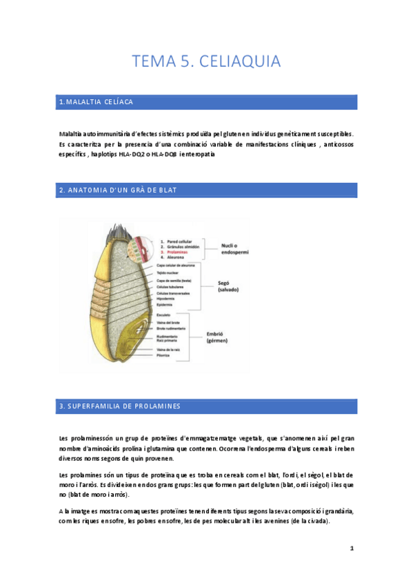 Miniatura del documento Tema-5.-Celiaquia.pdf