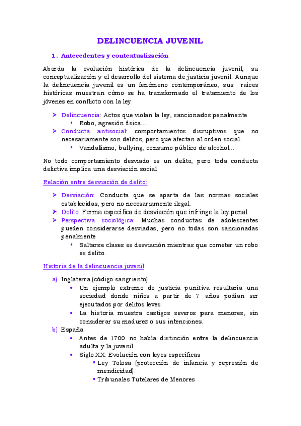 Miniatura del documento DELINCUENCIA-JUVENIL-APUNTES.pdf