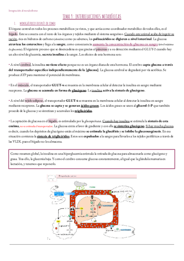 Miniatura del documento Tema-9.-Integracion.pdf