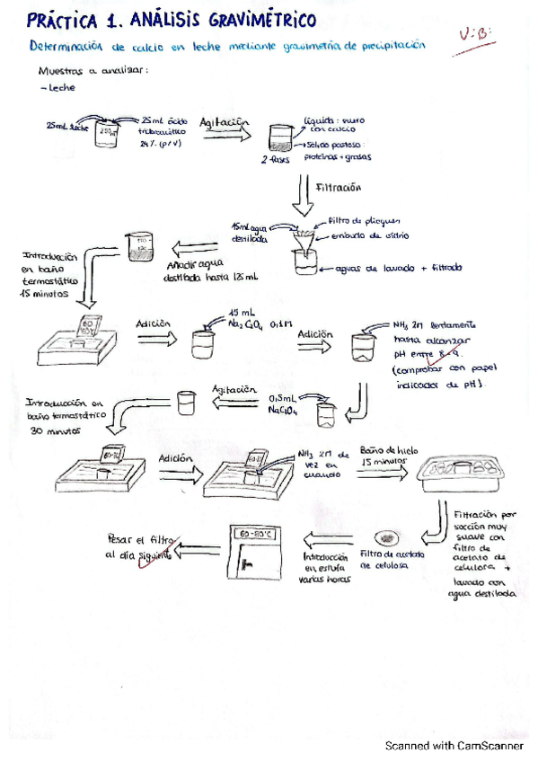 Miniatura del documento Esquema-Practica-1-QA.pdf