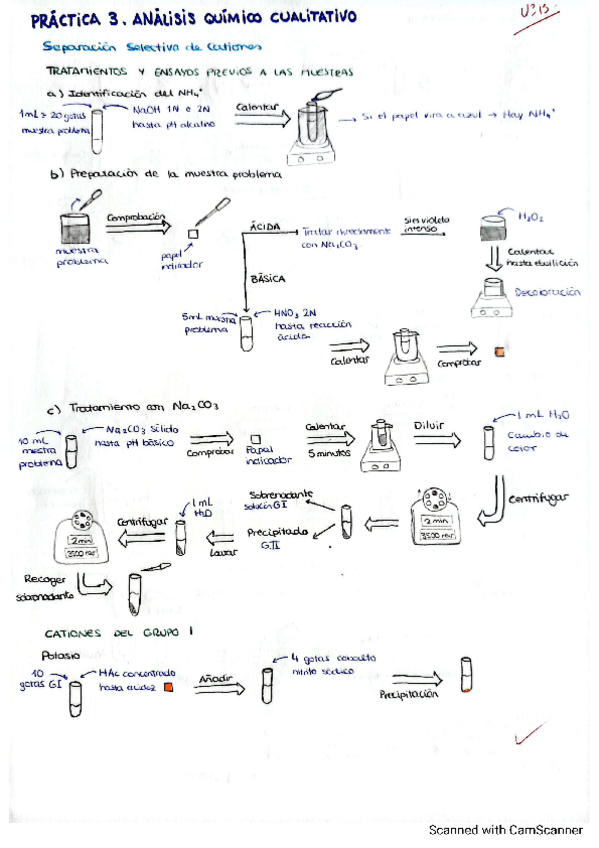 Miniatura del documento Esquema-Practica-3-QA.pdf