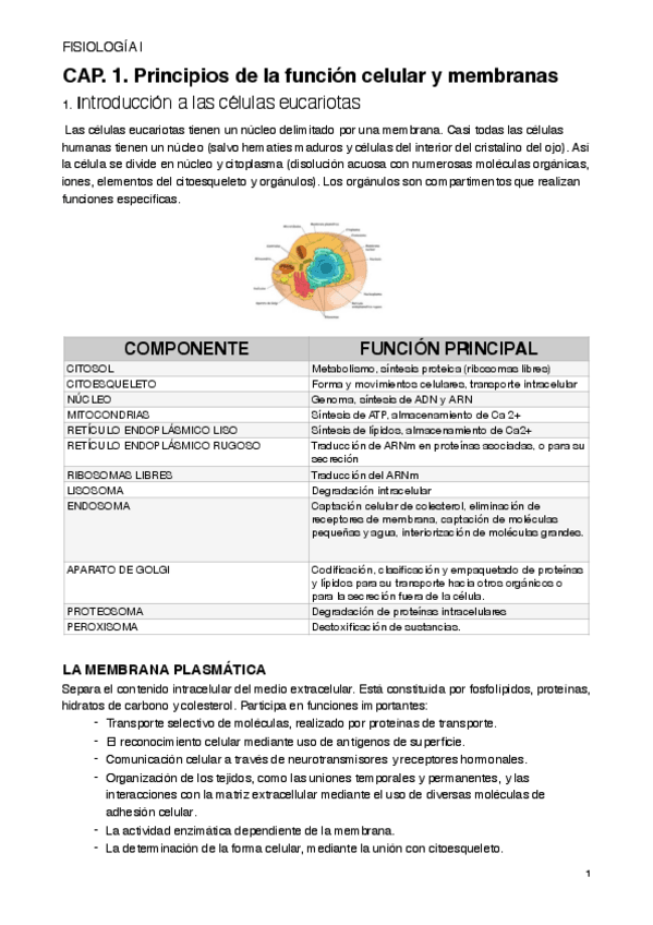 Miniatura del documento TEMA-1-TEMA-2.-Principios-de-la-funcion-celular-y-membranasfisio-I.pdf