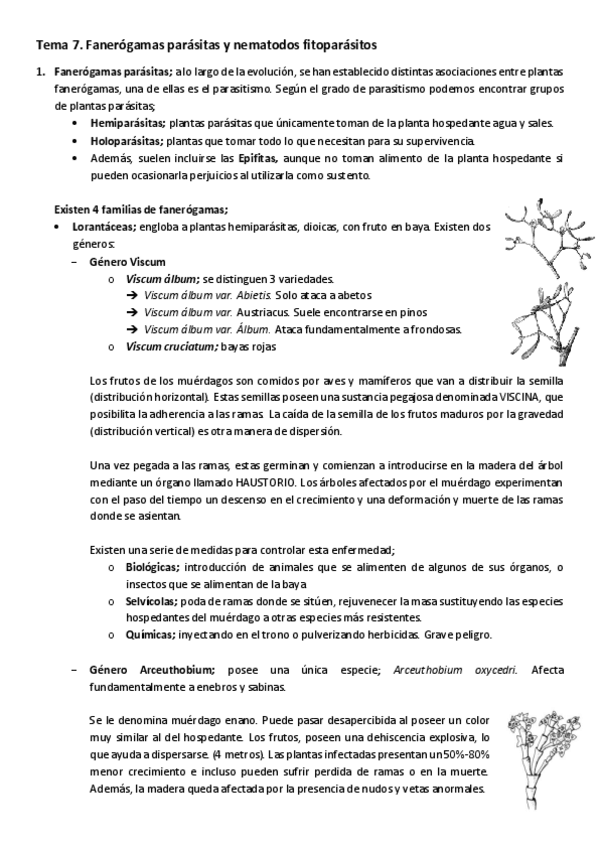 Miniatura del documento Tema-8-.-Fanerogamas-parasitas-y-nematodos-fitoparasitos.pdf