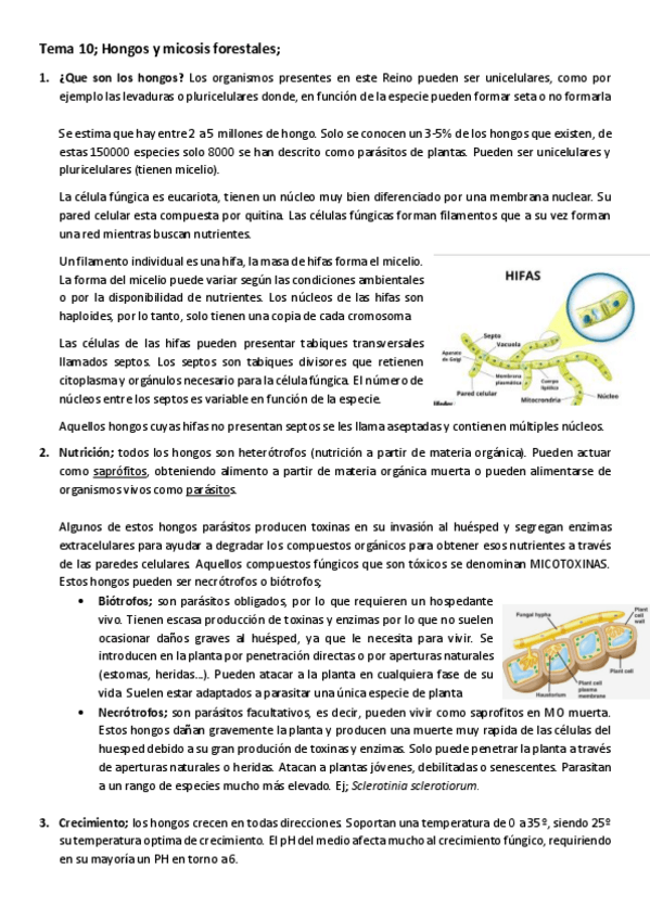 Miniatura del documento Tema-10-Hongos-y-micosis-forestales.pdf