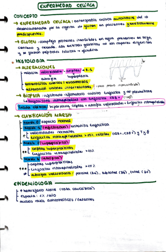 Miniatura del documento Enfermedad-celiaca.pdf