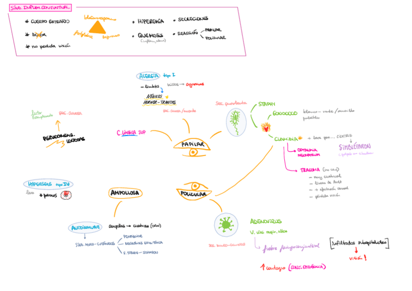 Miniatura del documento Conjuntiva.pdf
