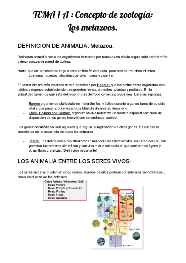 Miniatura del documento Temario zoologia completo.pdf