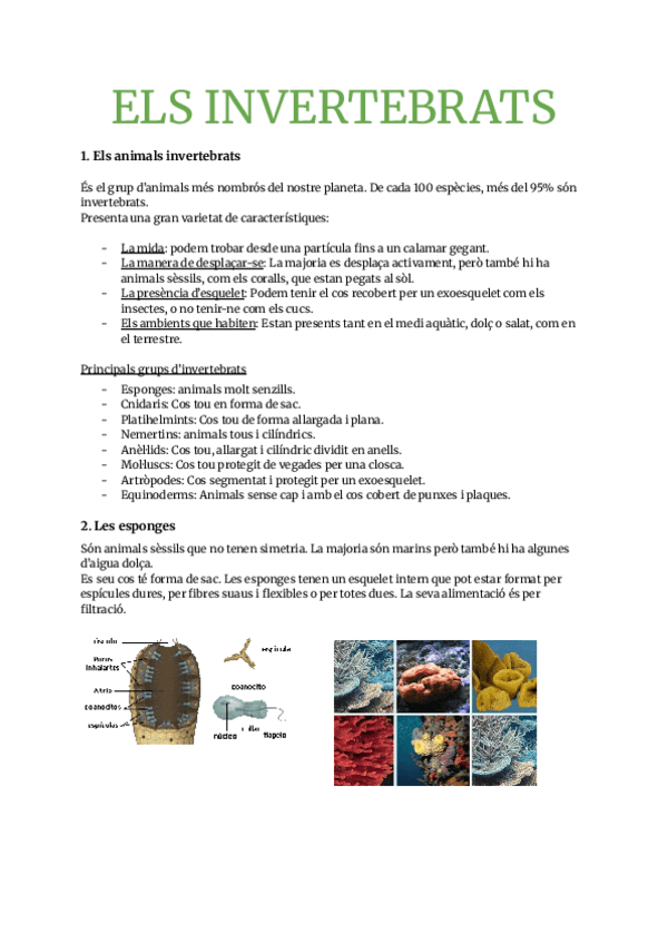 Miniatura del documento Biologia-els-Invertebrats.pdf
