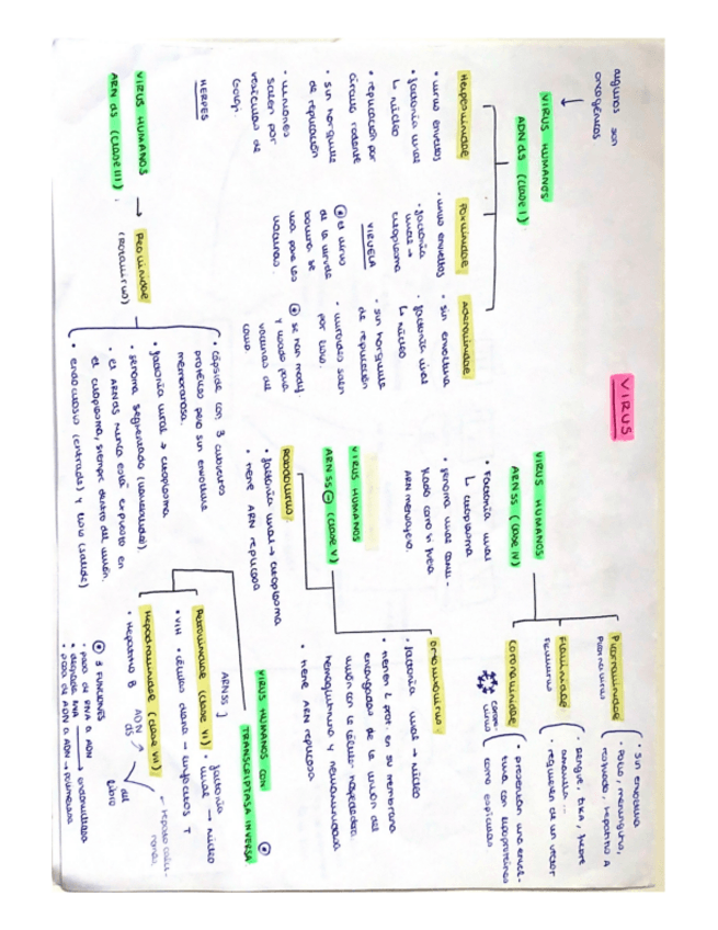 Miniatura del documento Resumen-de-los-virus.pdf