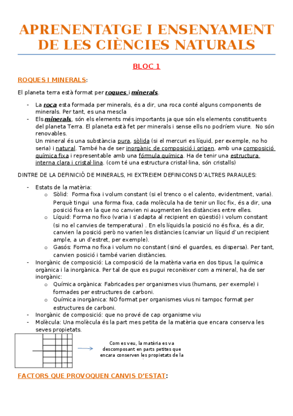 Miniatura del documento resum ensenyament i aprenentatge ciencies naturals GEOLOGIA.docx