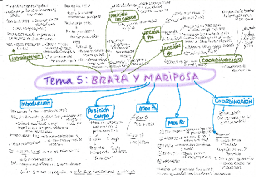Miniatura del documento RESUMENES-NATACION-TEMAS-5-8.pdf