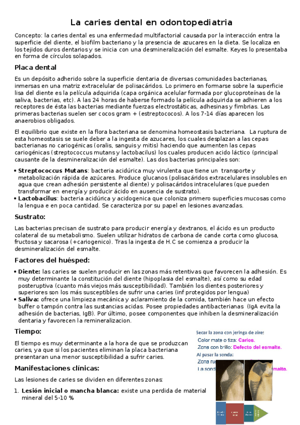 Miniatura del documento La caries dental en odontopediatria Parte 1.docx